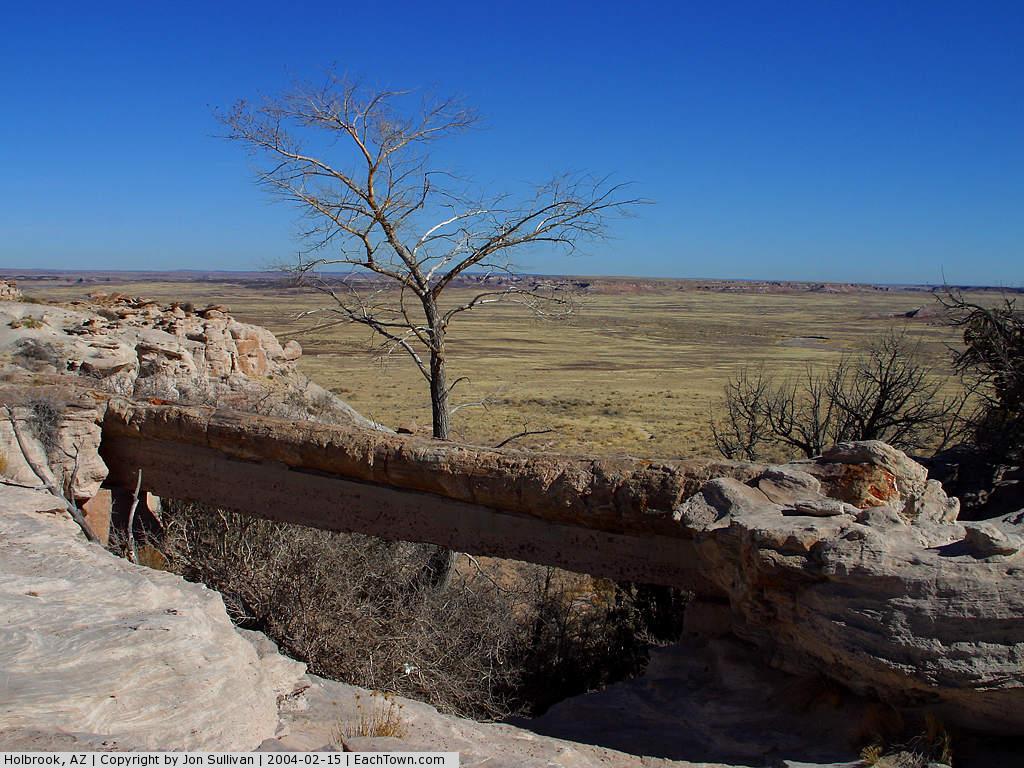  - Agate bridge at the Petrified Forest National Park