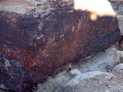 Newspaper Rock at Petrified Forest National Park