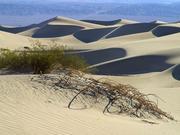 Sand dunes at Death Valley National Park