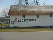 Roosterville, GA - Near Ephesus - Community store built around 1900 - I once lived in the house next door.